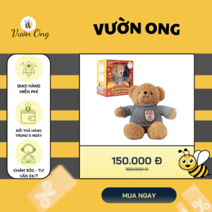 Gấu bông Teddy